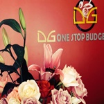 DG One Stop Budget Hotel