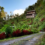 Kinabalu Mountain Lodge